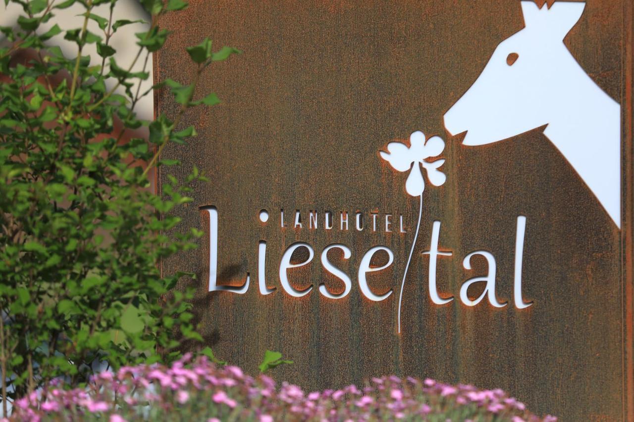 Landidyll Landhaus Liesetal 哈伦贝格 外观 照片
